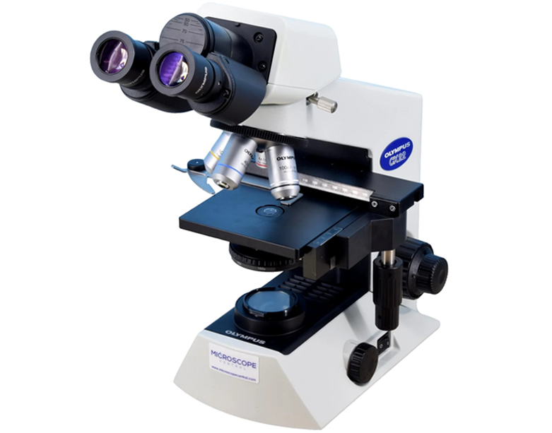 MICROSCOPIO OLYMPUS CX22